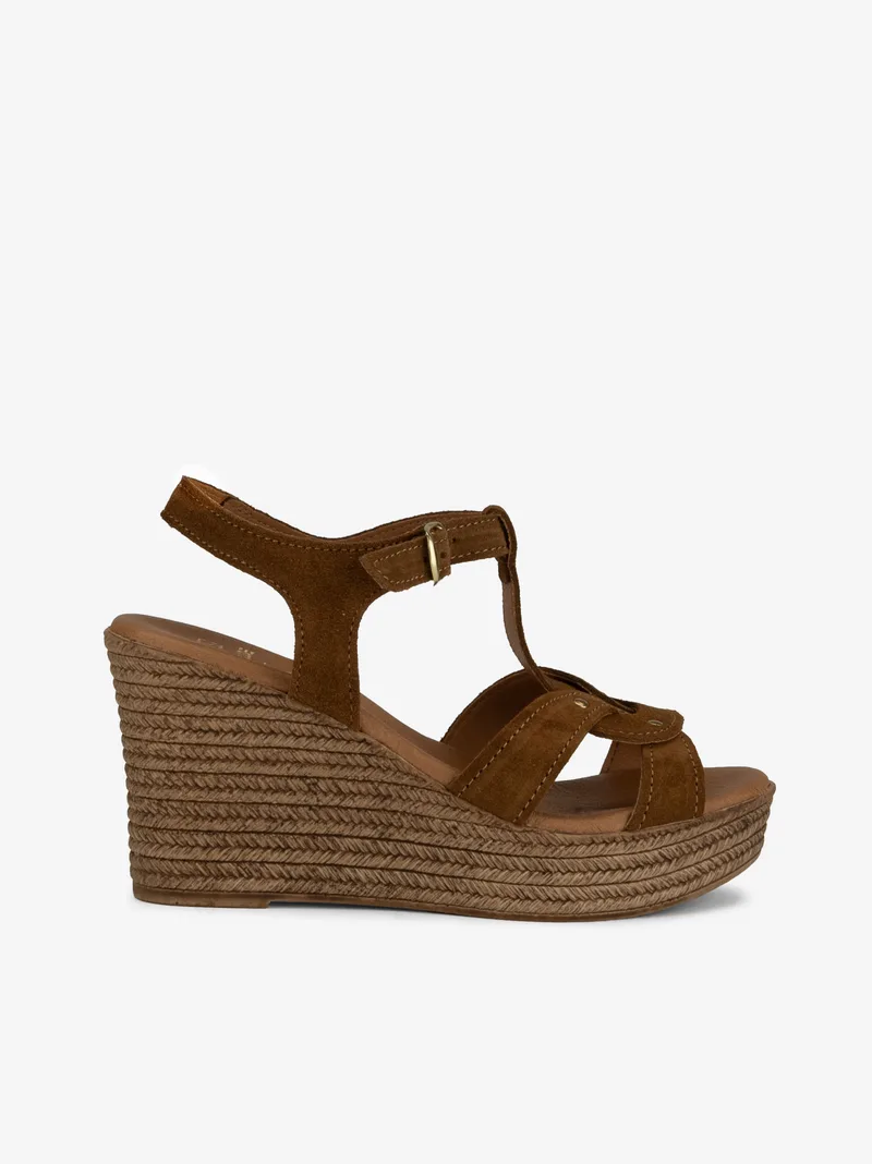 000402658SCL_camel_01