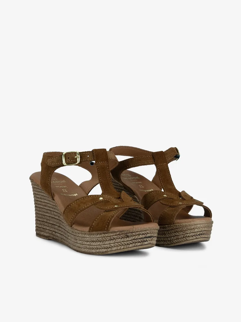 000402658SCL_camel_02