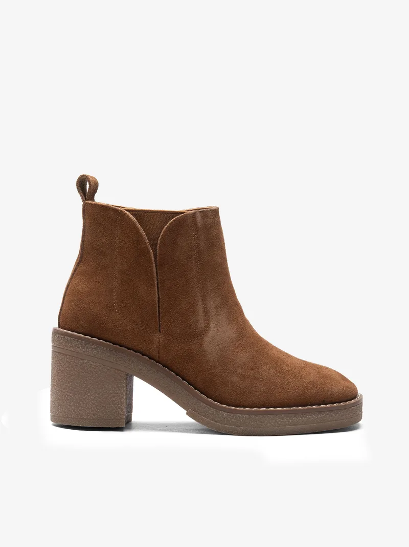 0173retoscl_camel_01
