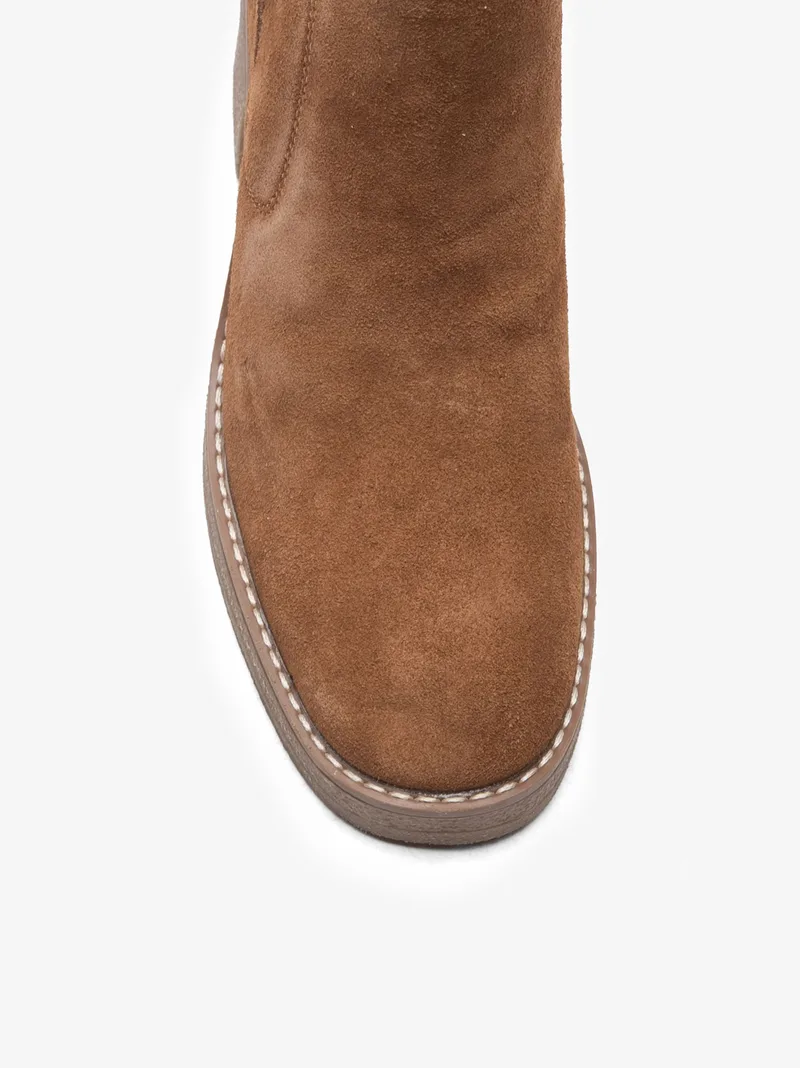 0173retoscl_camel_04