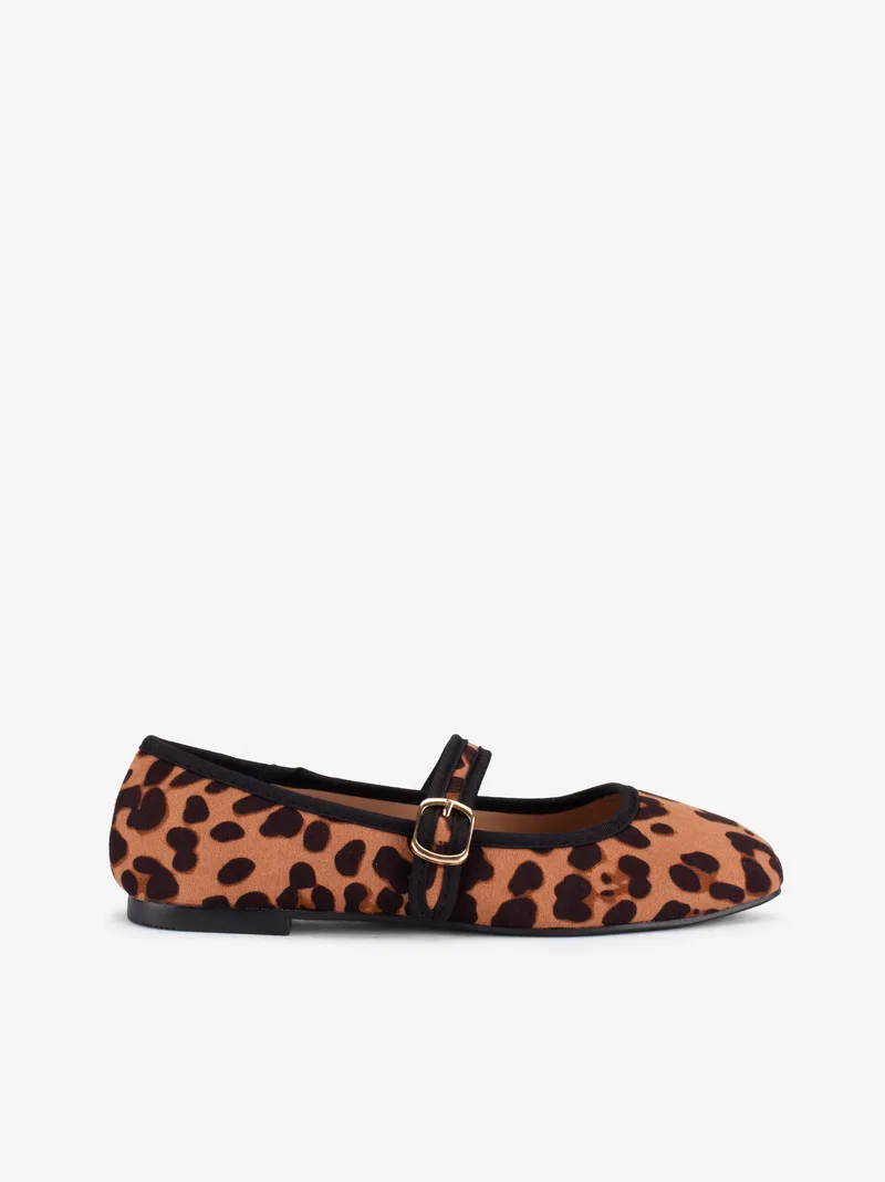 04300303sco_leopardo_01