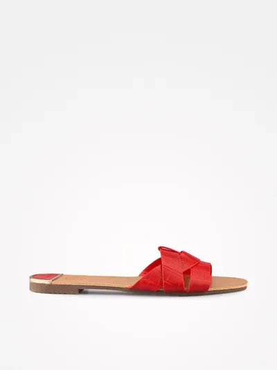 04349316013spg_vermelho_01