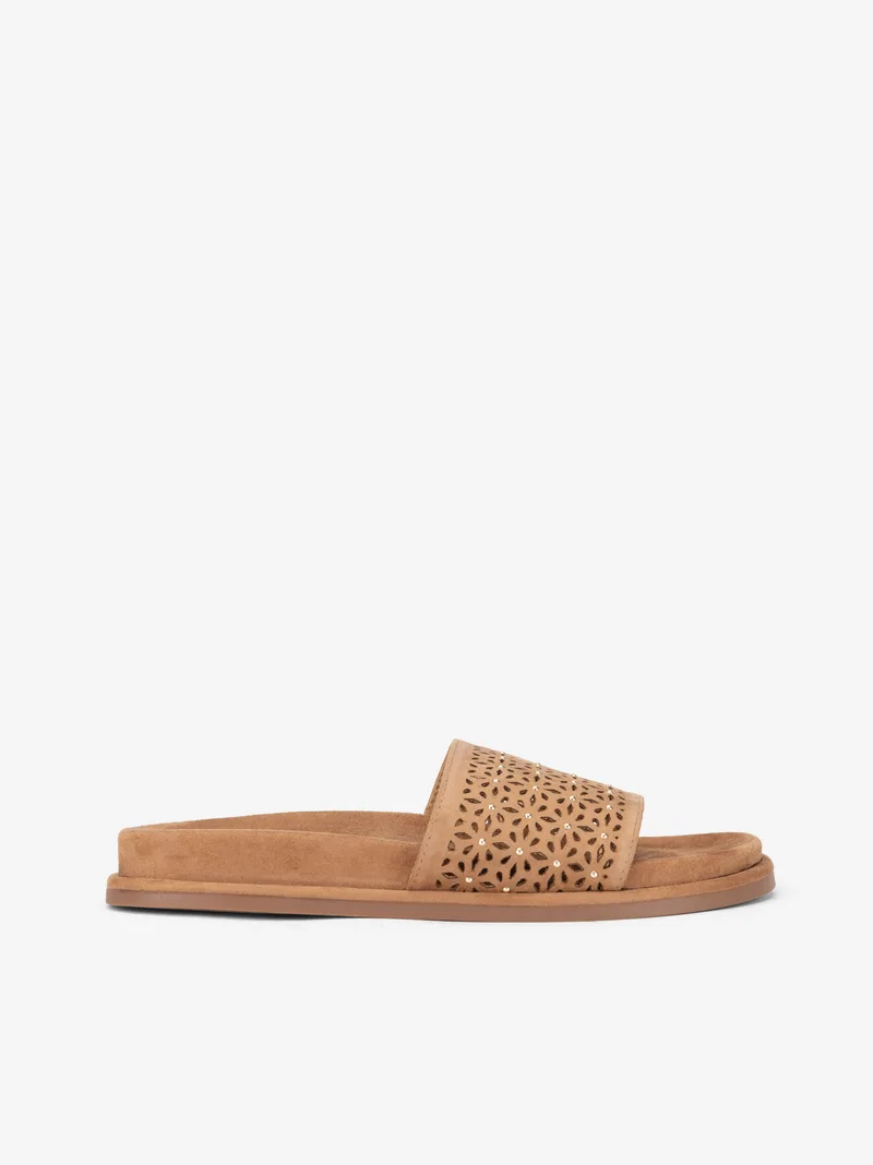 04706110613SCA_camel_01
