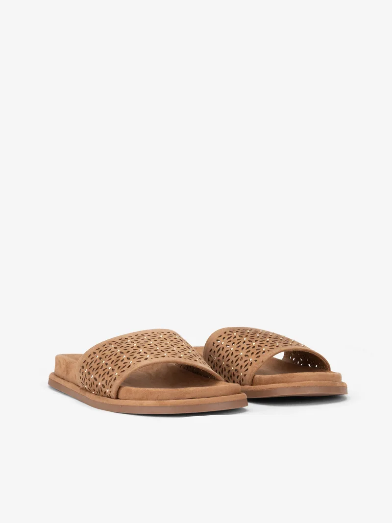 04706110613SCA_camel_02