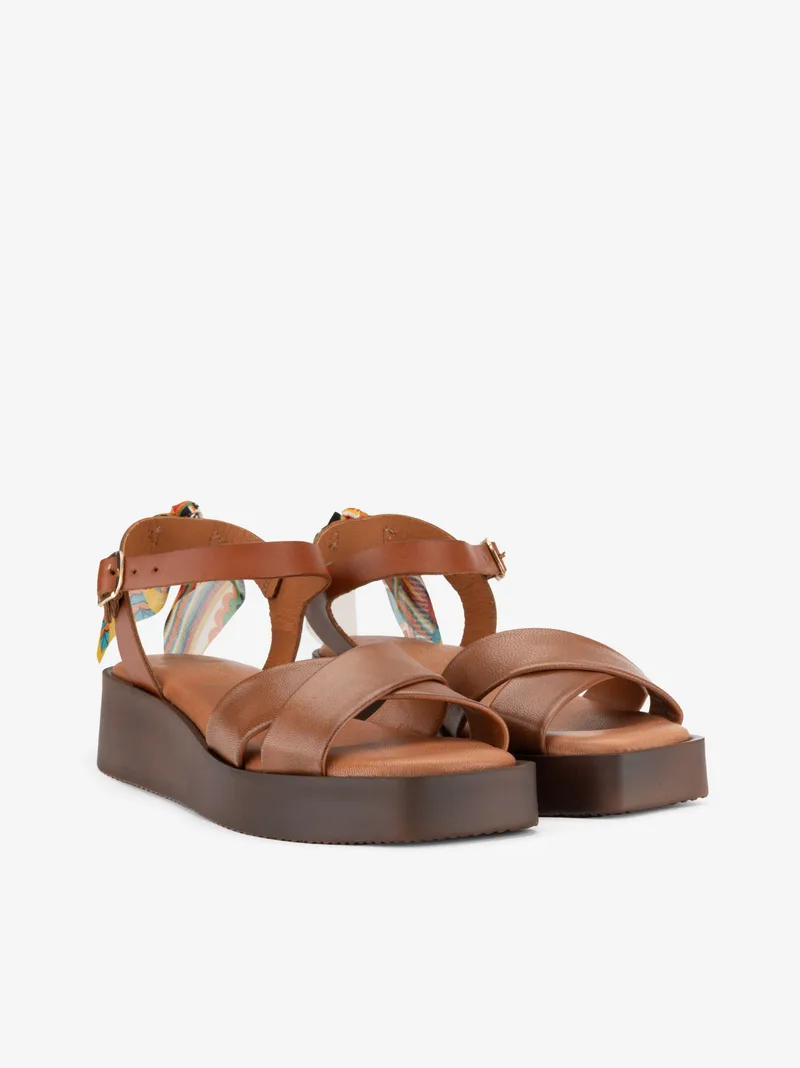 047106190SPA_camel_02