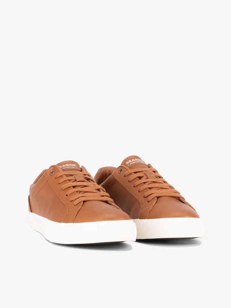 04831145hpl_camel_02