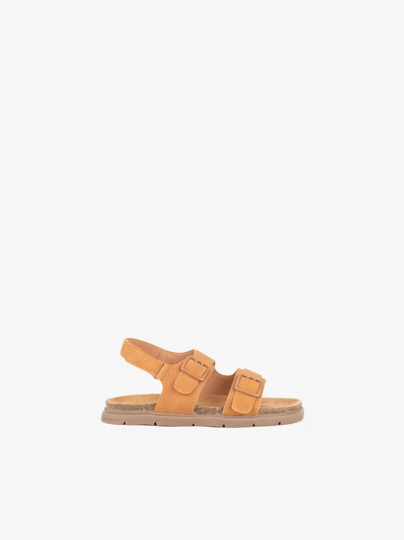 05242537F2BNL_CAMEL_01