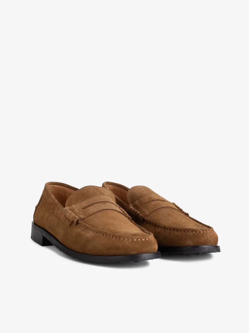 1814704240hcl_camel_02