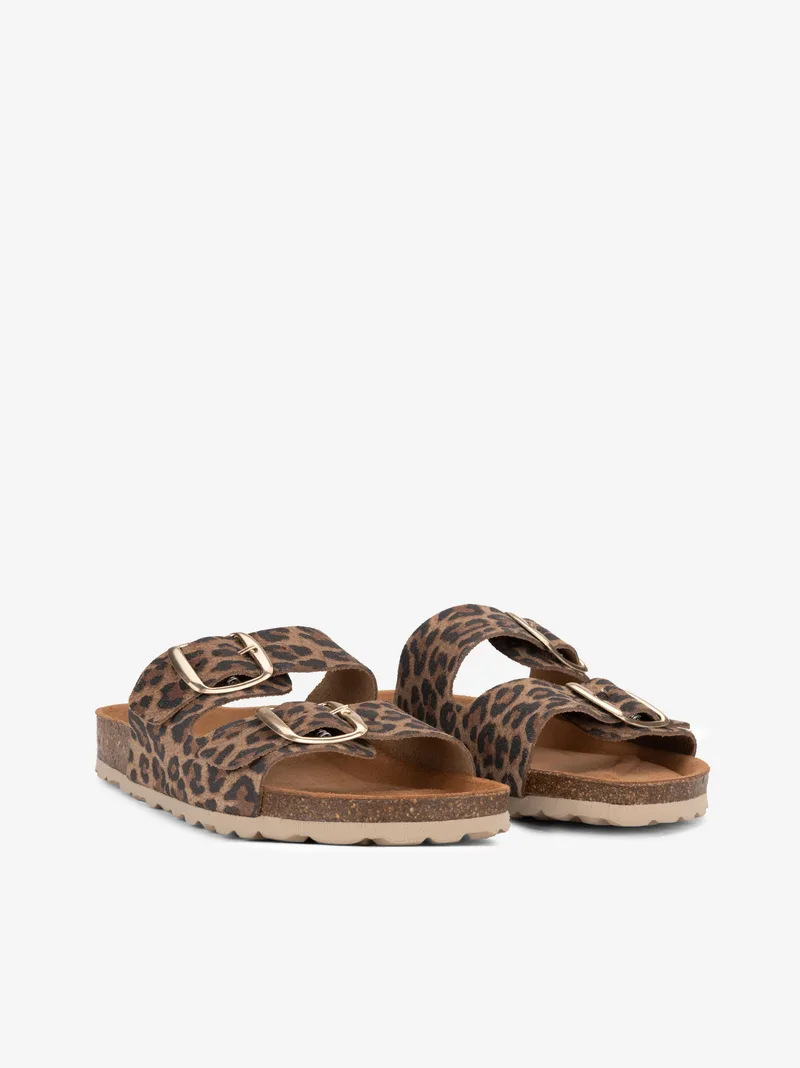 18250747SCO_leopardo_02