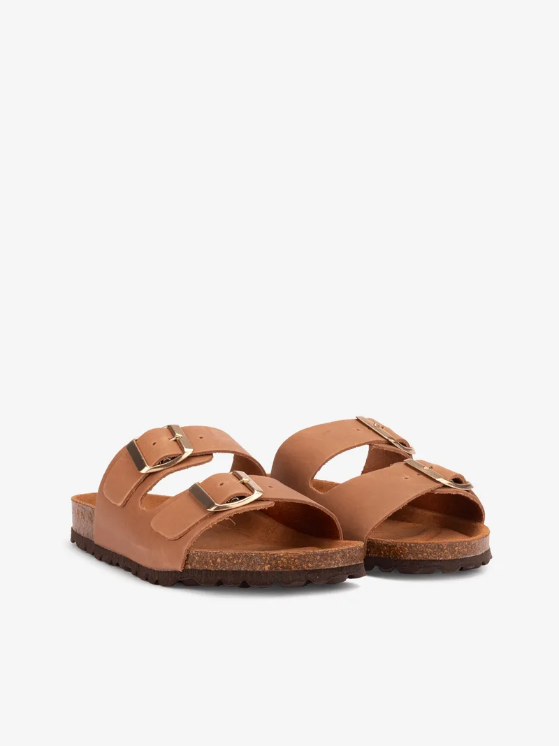 18250747snl_camel_02