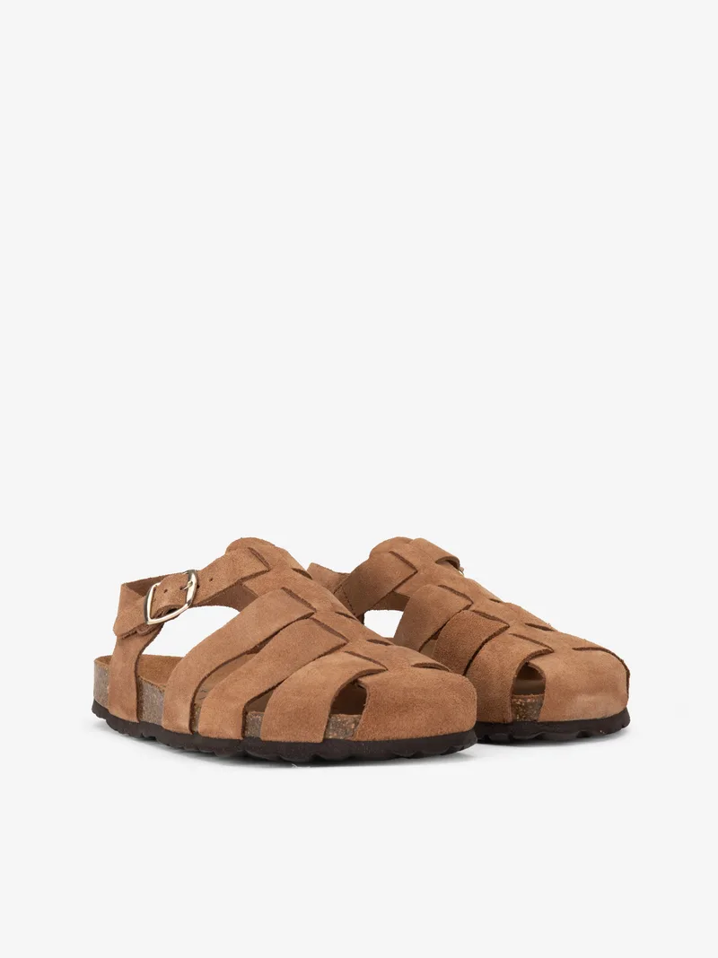 182515465SCL_camel_02
