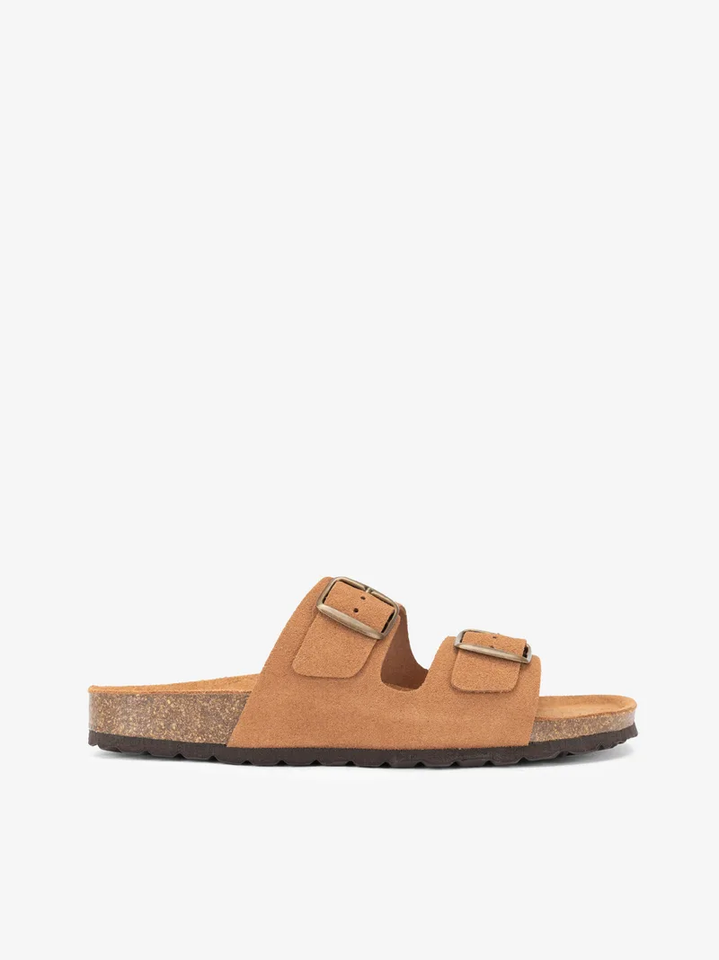 18253195HCL_camel_01