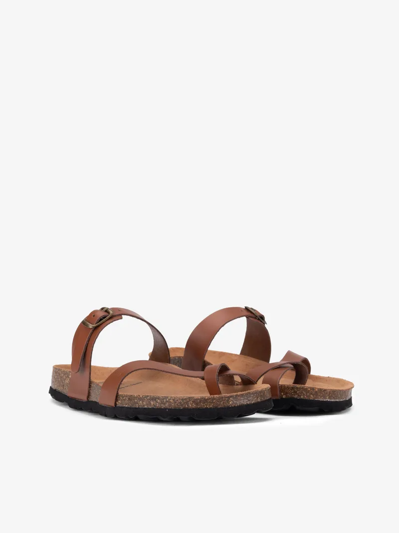 18253572SPL_camel_02