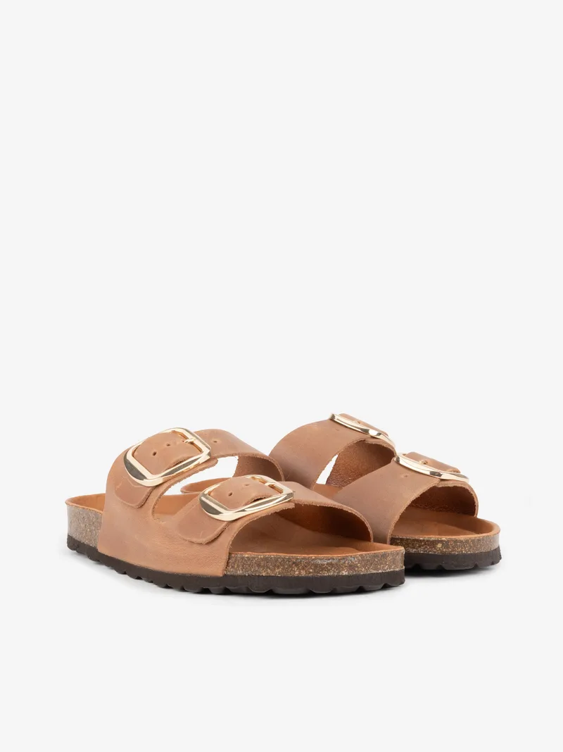 1825747NUBISNL_CAMEL_02