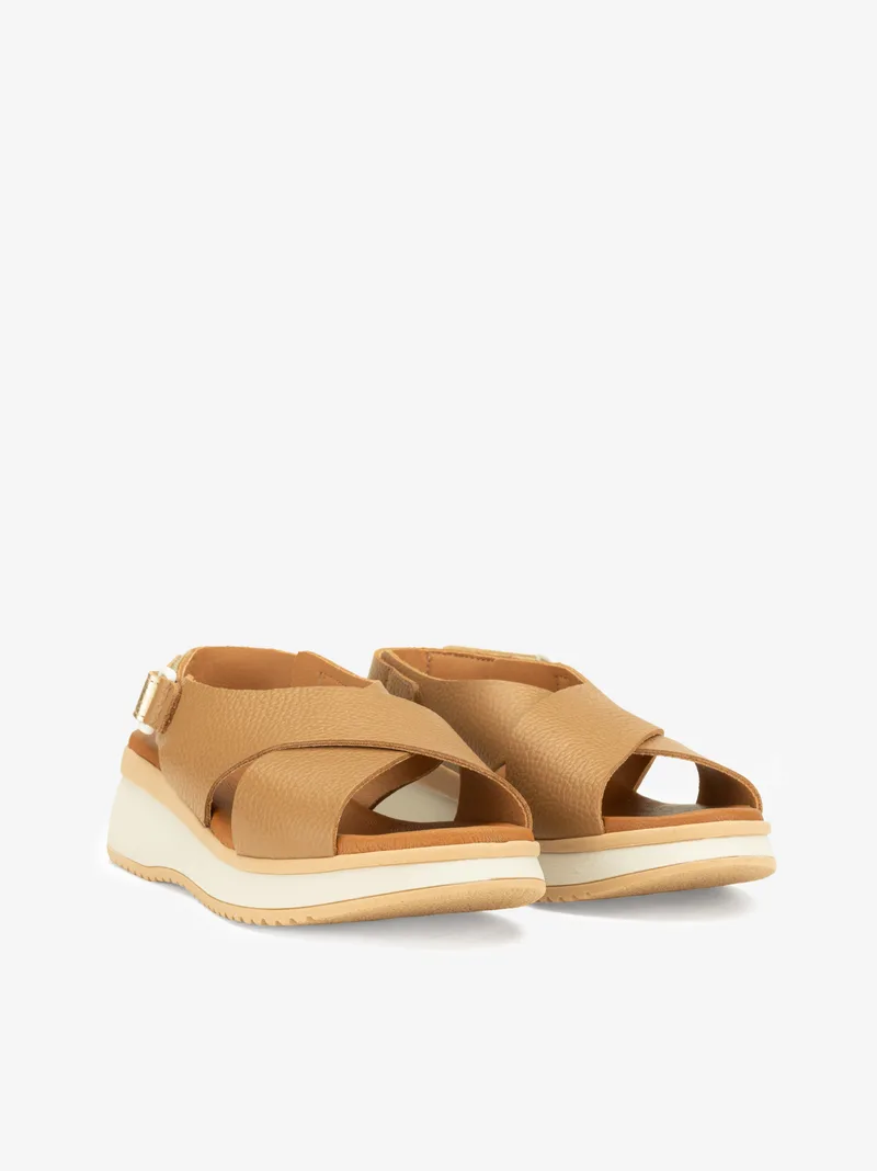 249805943scl_taupe_02