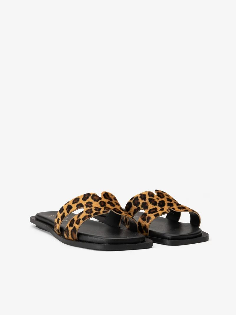 2577072510spe_leopardo_02