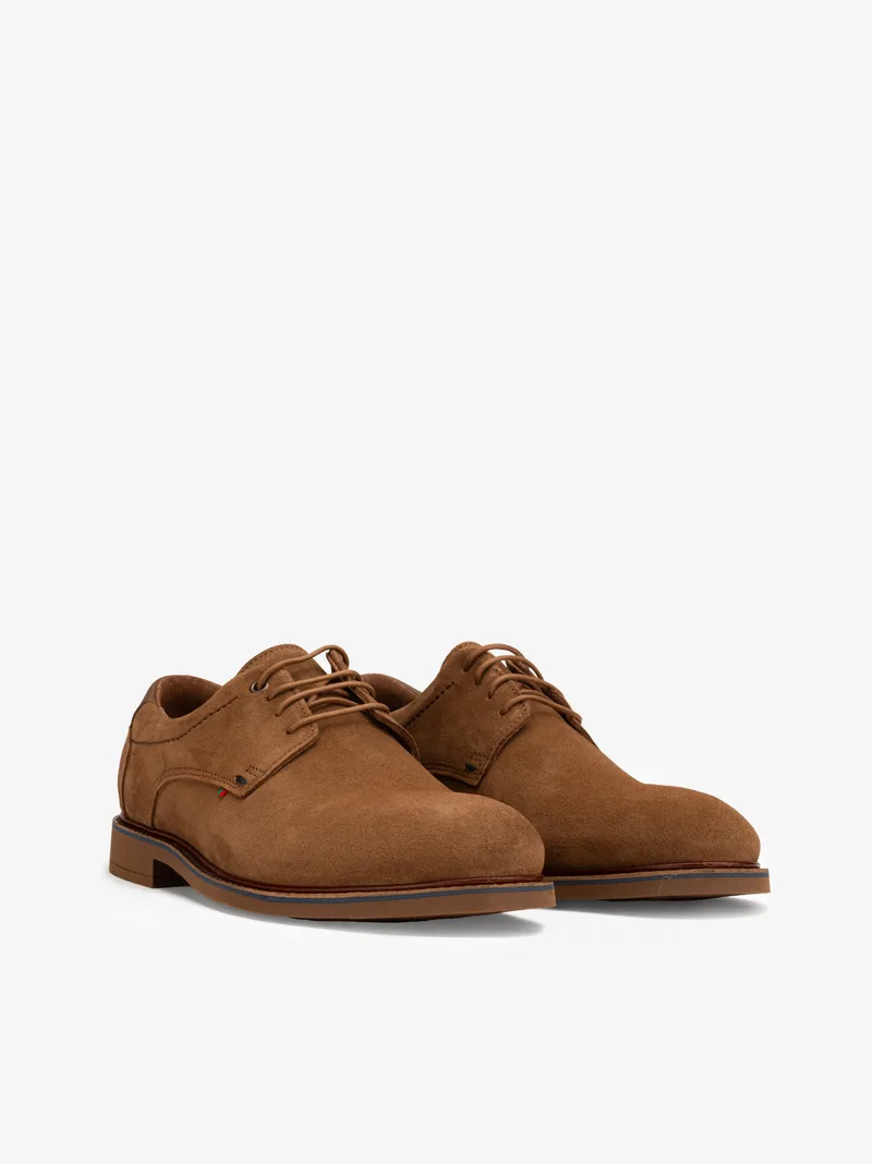 26230671HCL_CAMEL_02