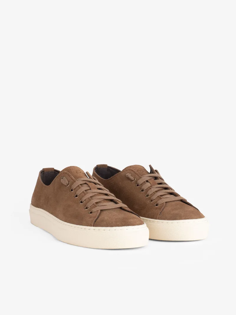 26230830HCL_camel_02