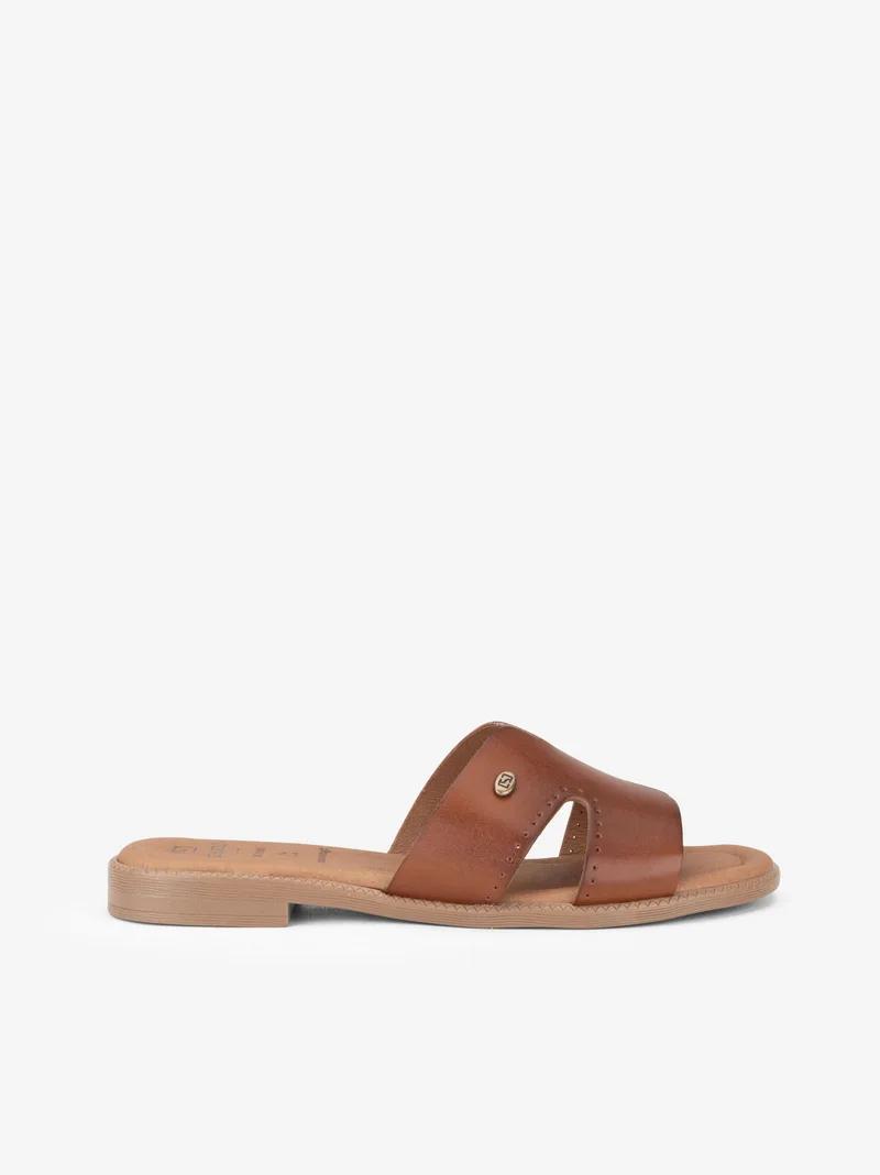 26231301SPL_camel_01