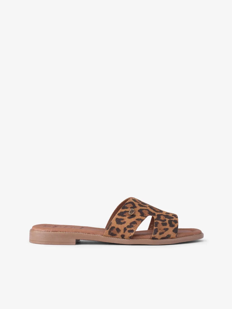 26231301spl_leopardo_01