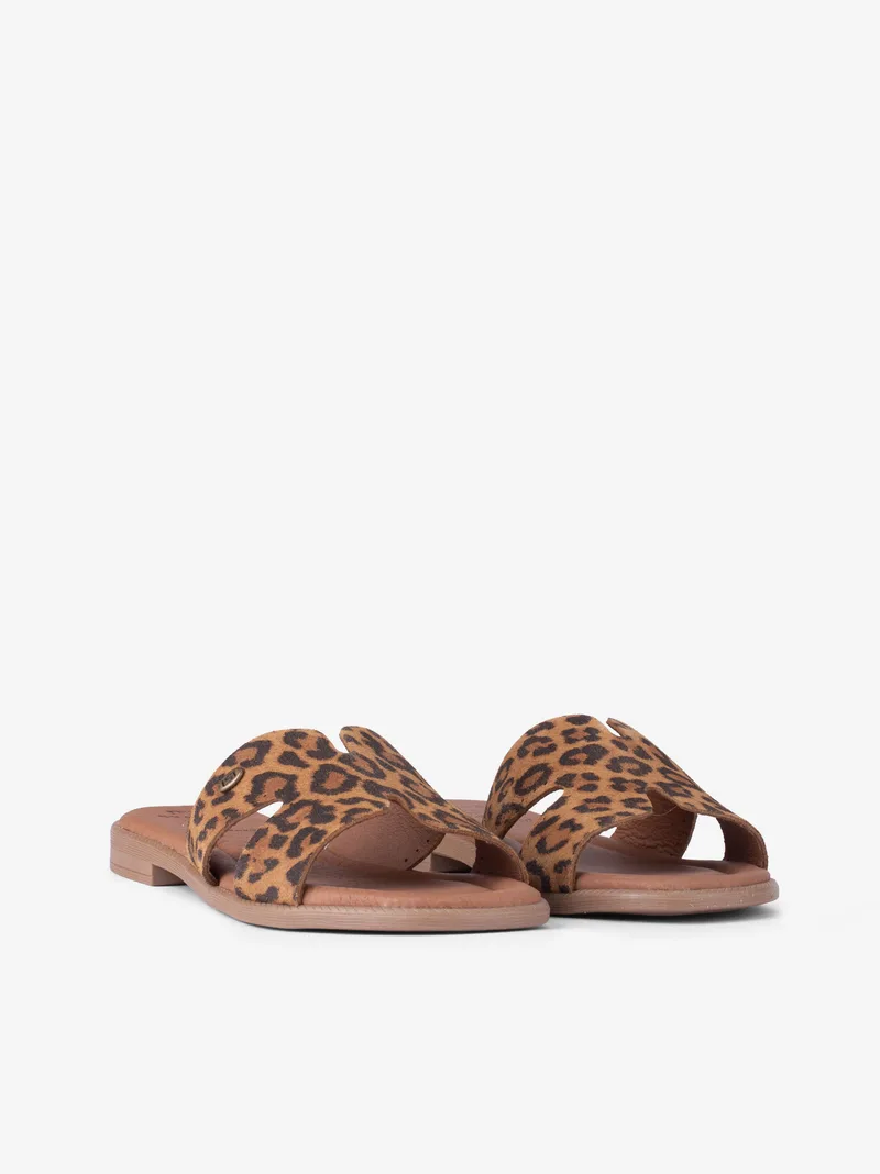 26231301spl_leopardo_02