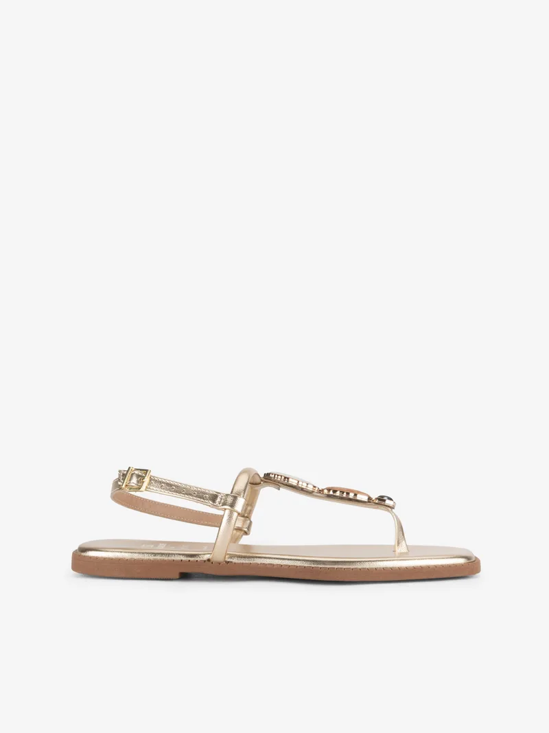 26978571103SPA_dourado_01