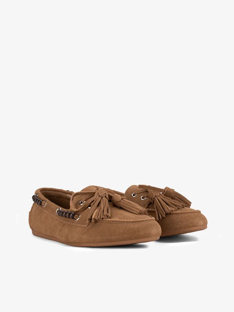 2958246661SCA_camel_02