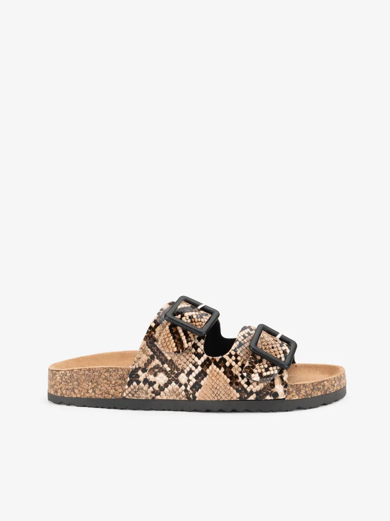 30441043SPS_CAMEL_01