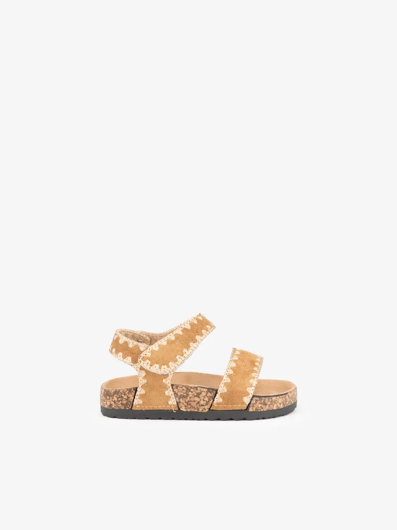 30441681BCD_camel_01