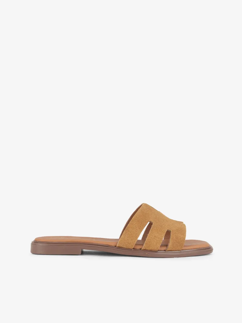 343725116SSCL_camel_01