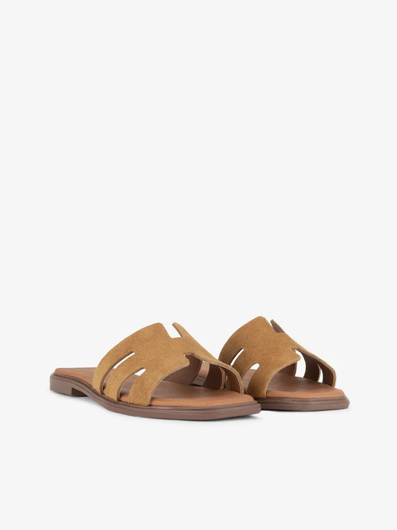 343725116SSCL_camel_02