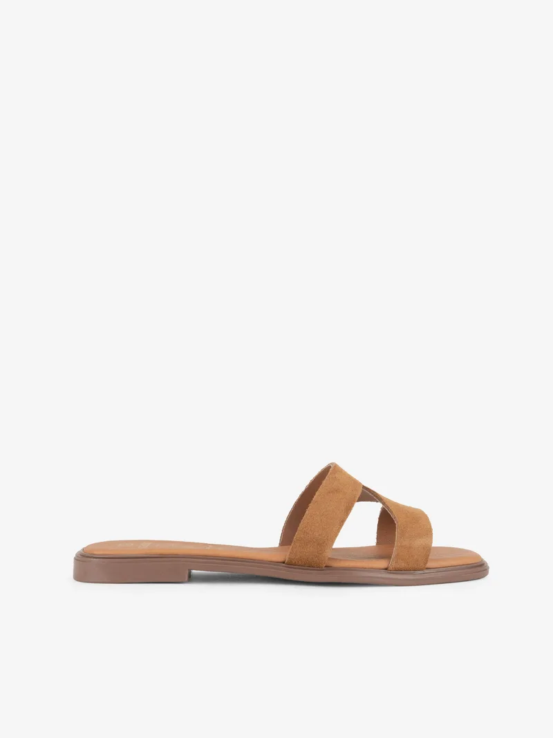 34372614SSCL_camel_01
