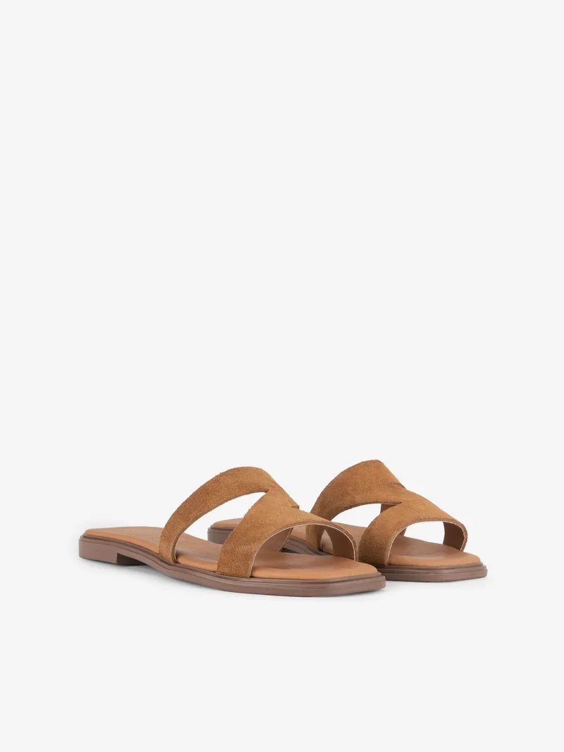 34372614SSCL_camel_02