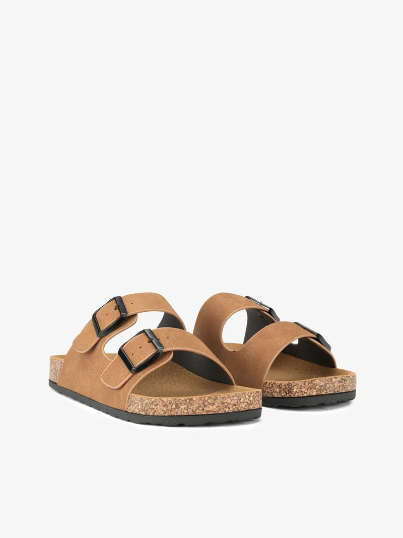 350500414HPL_camel_02