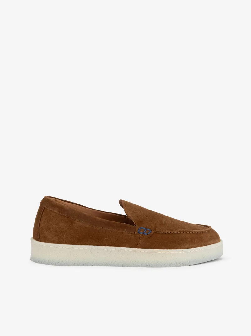 351606529HCL_camel_01