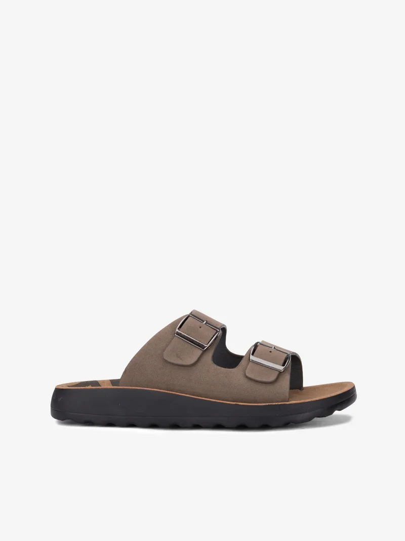 3534222331HNL_camel_01