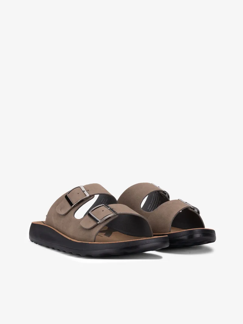 3534222331HNL_camel_02
