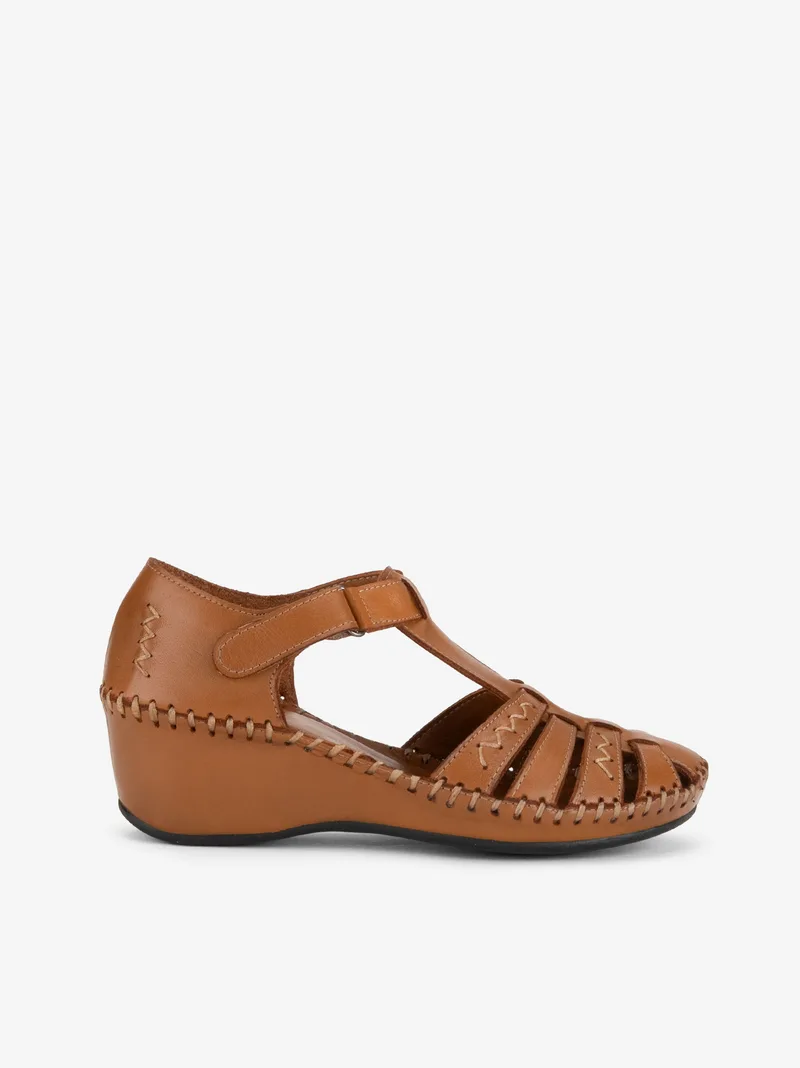 35453033085SPL_camel_01