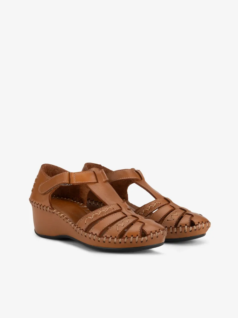 35453033085SPL_camel_02