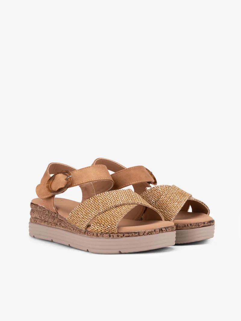 3617007104STG_camel_02