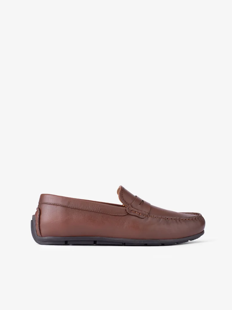 3623amalfI2hpl_camel_01