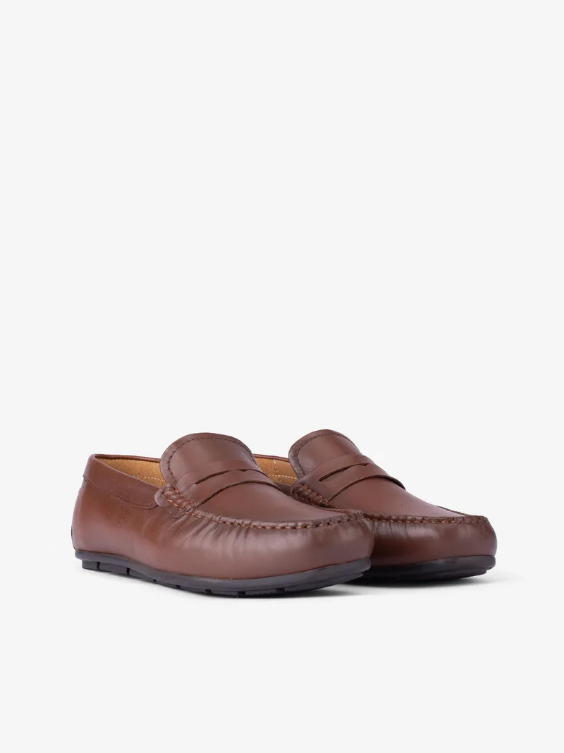 3623amalfI2hpl_camel_02