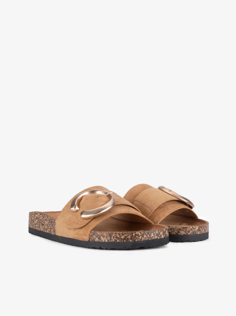 366432S1179SCA_camel_02