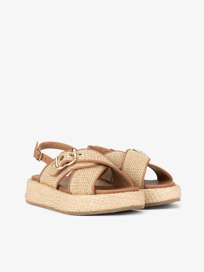 3718498947STG_camel_02