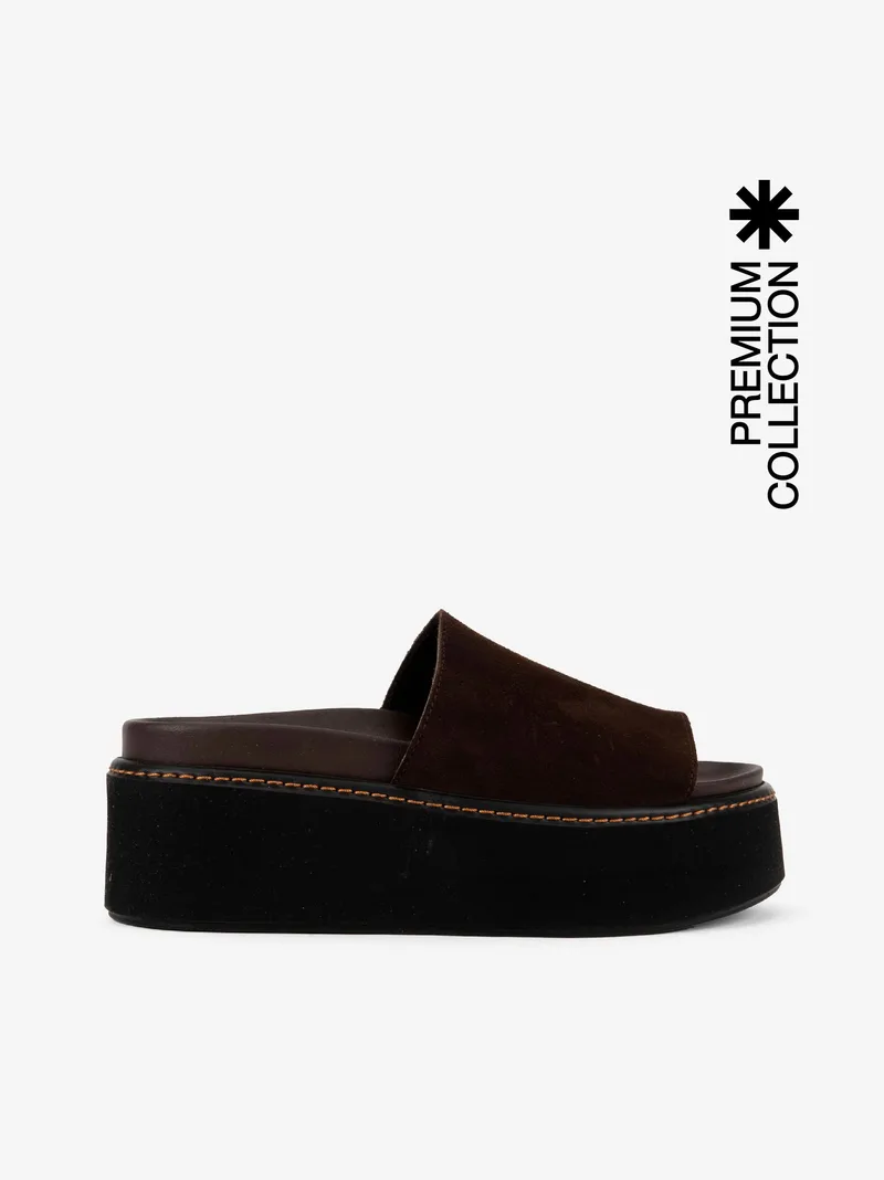 381706111scl_castanho_01