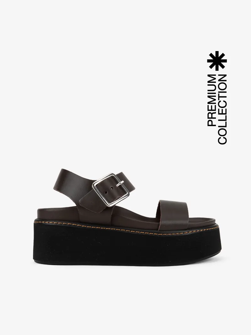 381706233SPL_castanho_01