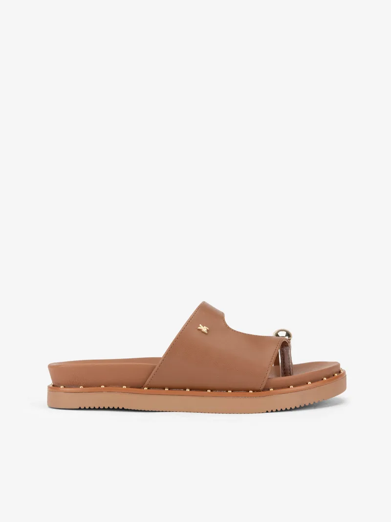 3842169022SPA_camel_01