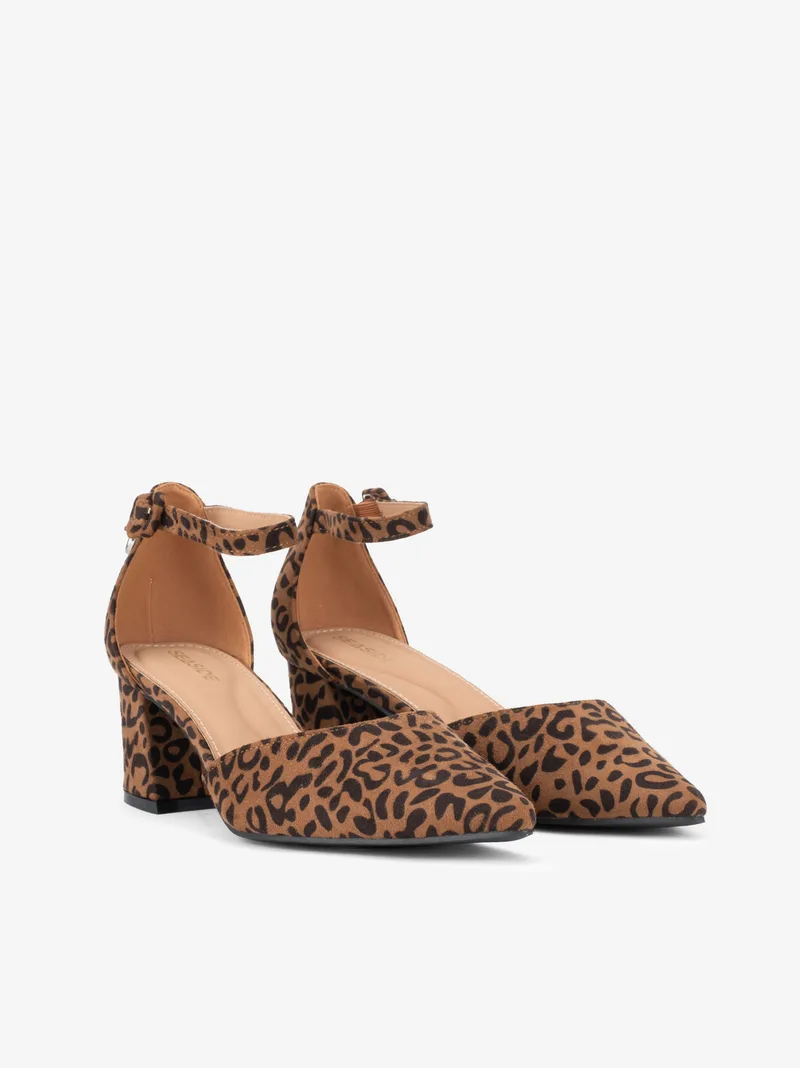38612412132sco_leopardo_02